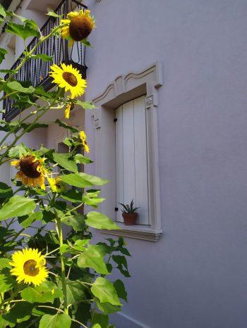 scuri alla padovana scuri alla padovana